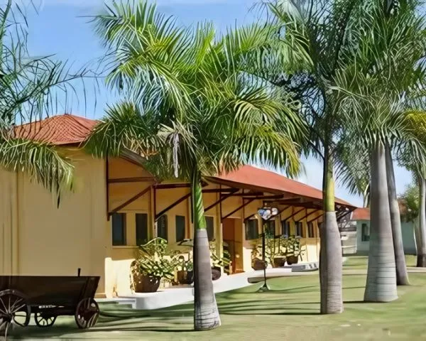 UNIDADE IBIPORÃ
