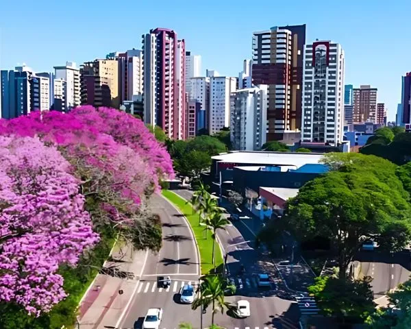 UNIDADE MARINGÁ