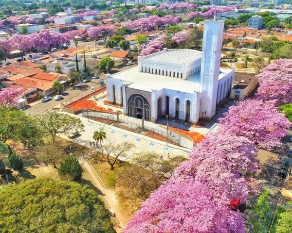UNIDADE PAULINIA